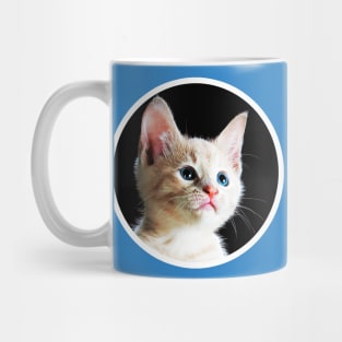 Hoping Kitten Mug